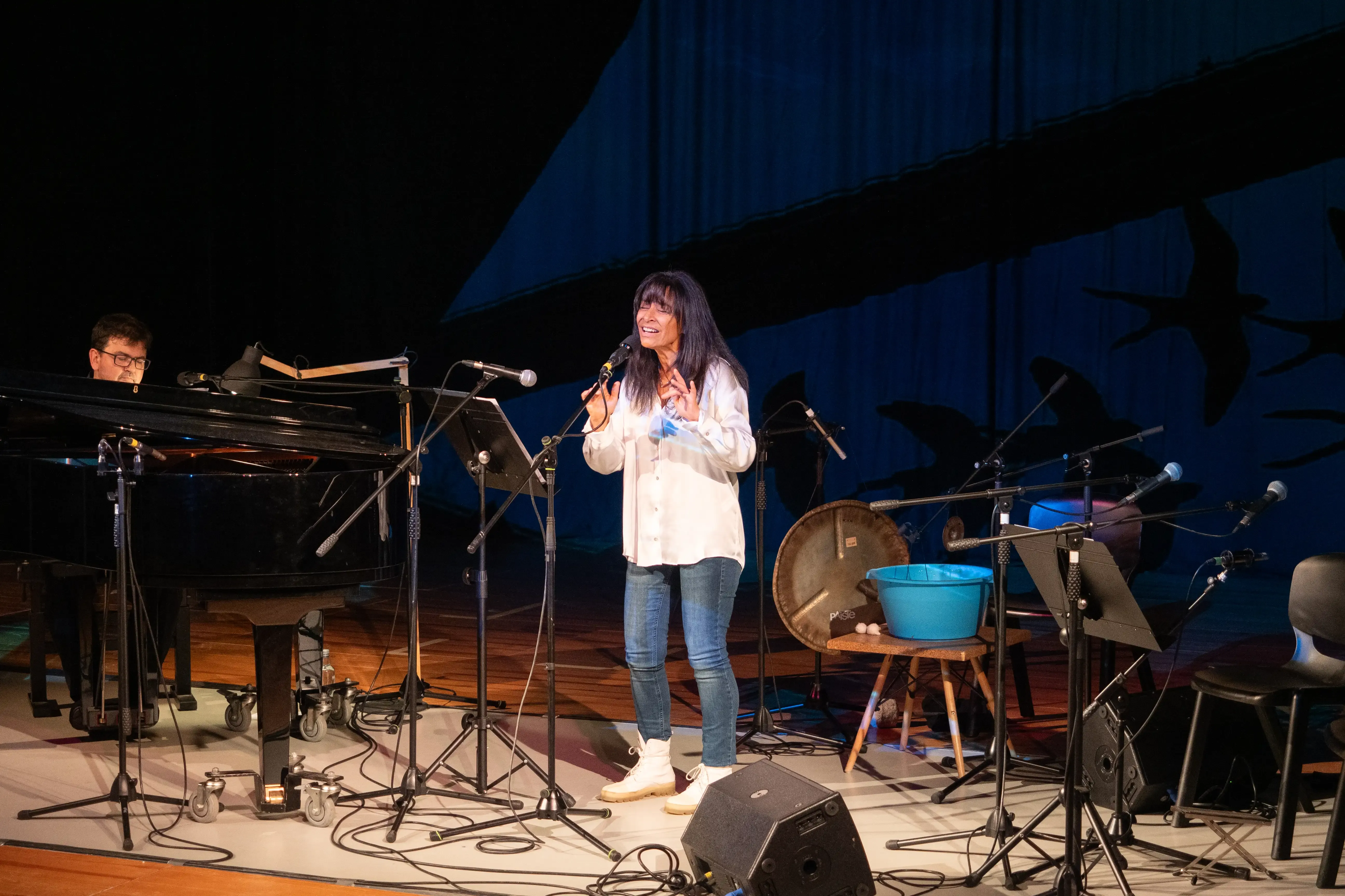 Uma mulher está a cantar num palco. No lado esquero da imagem alguém acompanha ao piano. Ao fundo tem uma projeção, em azul de silhuetas de pássaros.